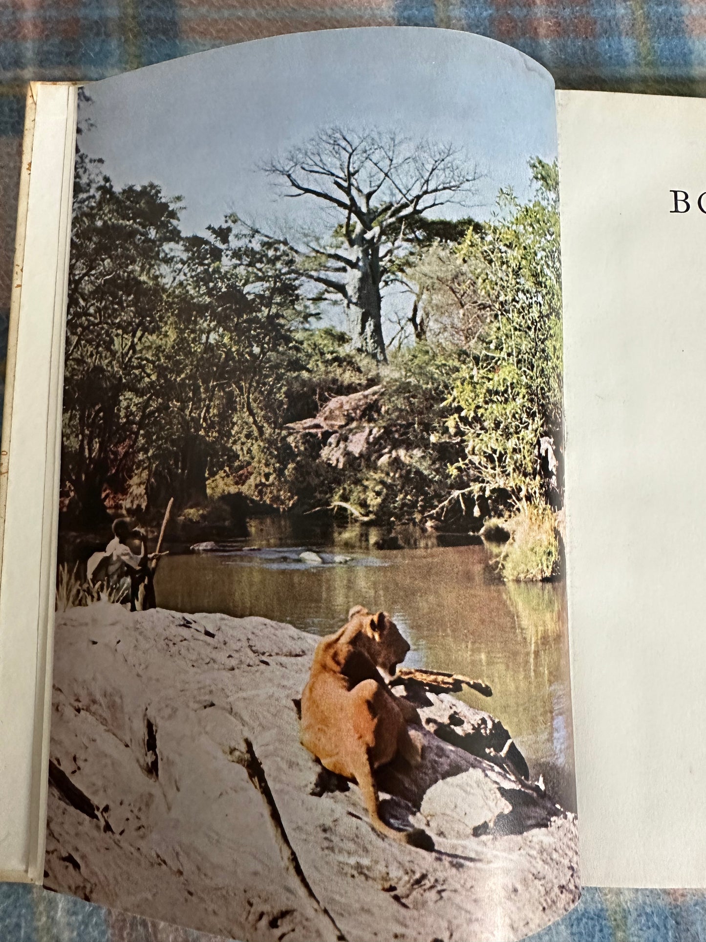1960 Born Free(A Lioness of Two Worlds) Joy Adamson(Collins & Harvill Press)