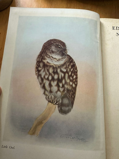 1947 Edward Wilson: Nature Lover - George Seaver (John Murray)