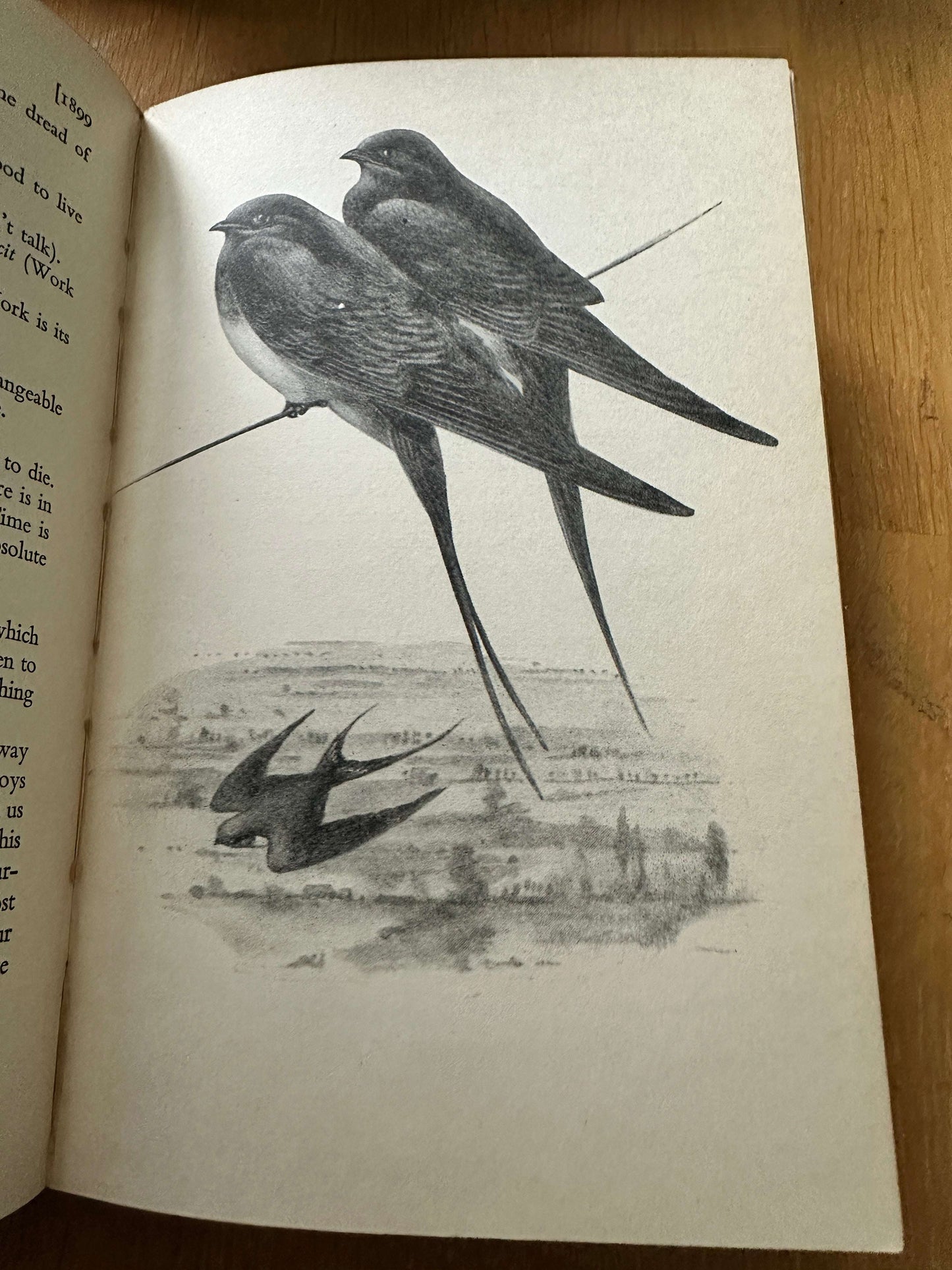 1947 Edward Wilson: Nature Lover - George Seaver (John Murray)