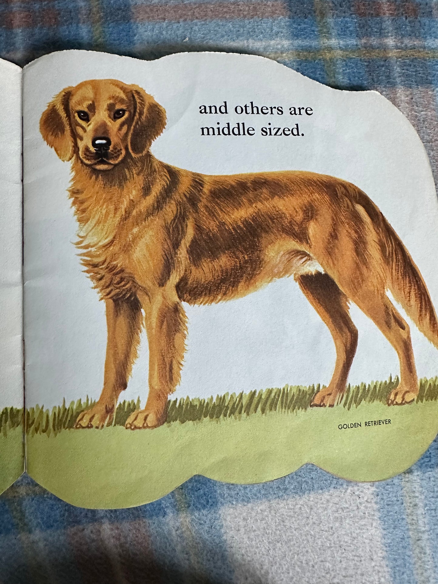 1965 The Dog Book - Jan Pfloog(Golden Pleasure Books)
