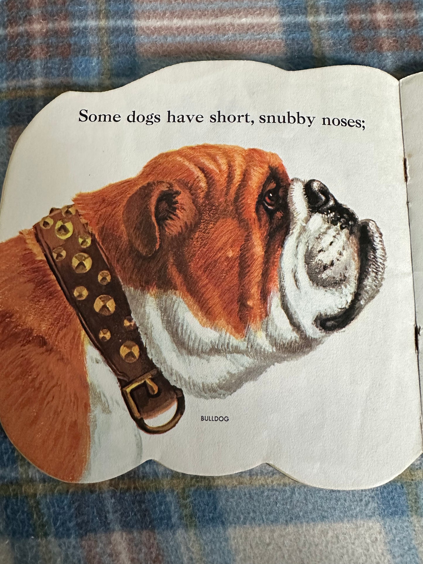1965 The Dog Book - Jan Pfloog(Golden Pleasure Books)