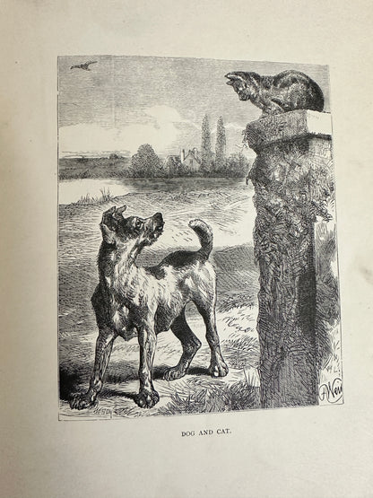 1898 Uncle Charlie’s Short Stories About Animals - Gertrude Sellon(Harrison Weir illustration and others)