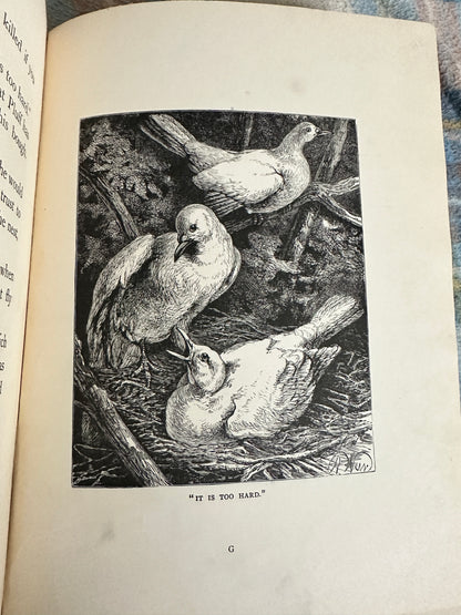 1898 Uncle Charlie’s Short Stories About Animals - Gertrude Sellon(Harrison Weir illustration and others)