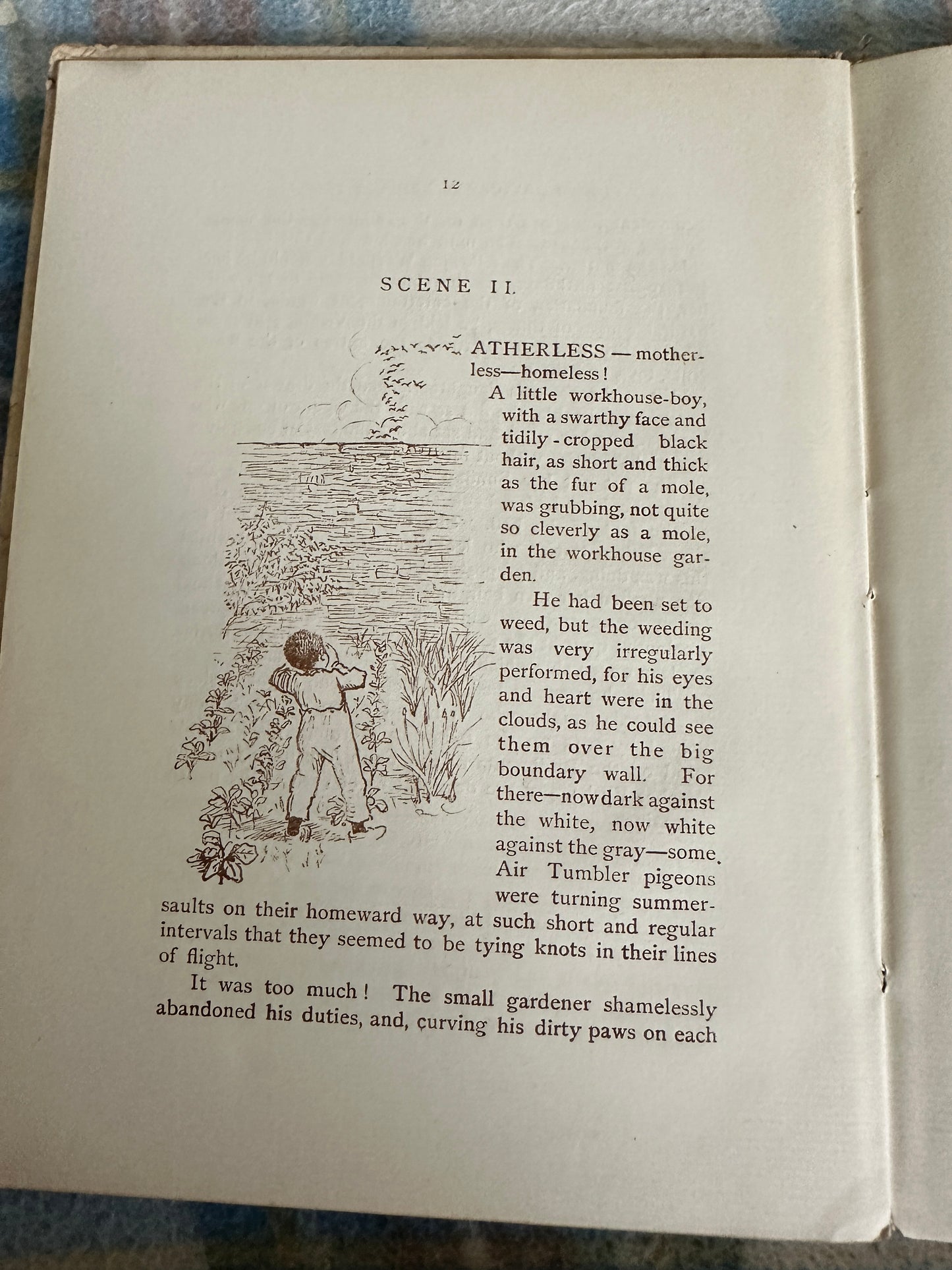 1884*1st* Daddy Darwin’s Dovecot - Juliana Horatia Ewing(Randolph Caldecott) Society For Promoting Christian Knowledge)