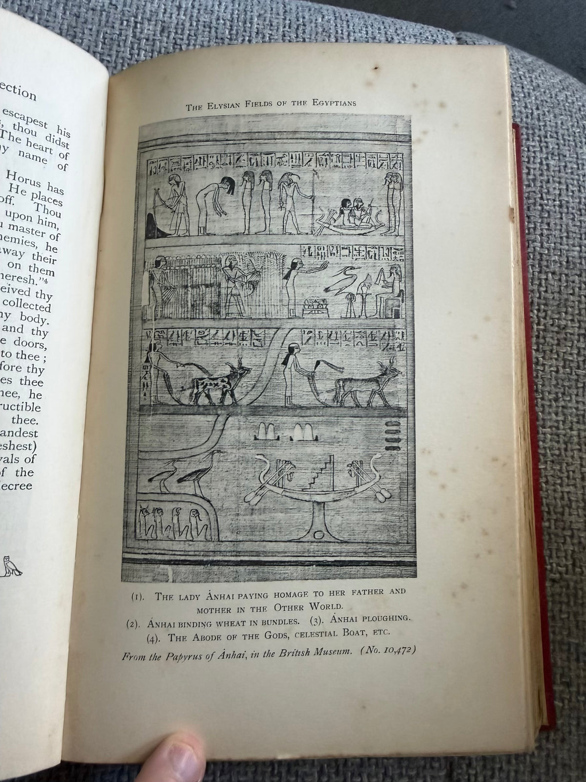 1811 Osiris & The Egyptian Resurrection (2x vols) E. A. Wallis Budge (Lee Warner Publisher)