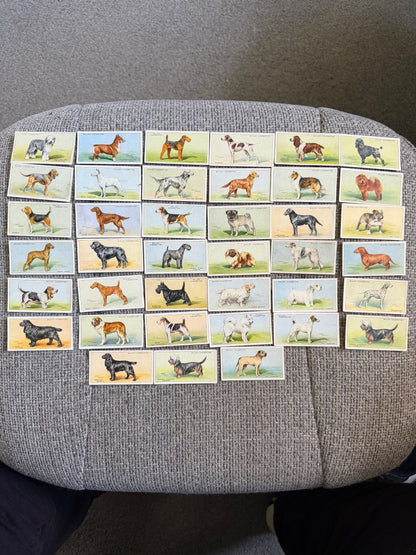 Wills’s — Dogs (1937) — Partial Set (41/50) Arthur Wardle illustrations.