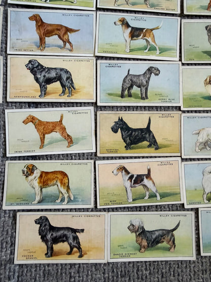 Wills’s — Dogs (1937) — Partial Set (41/50) Arthur Wardle illustrations.