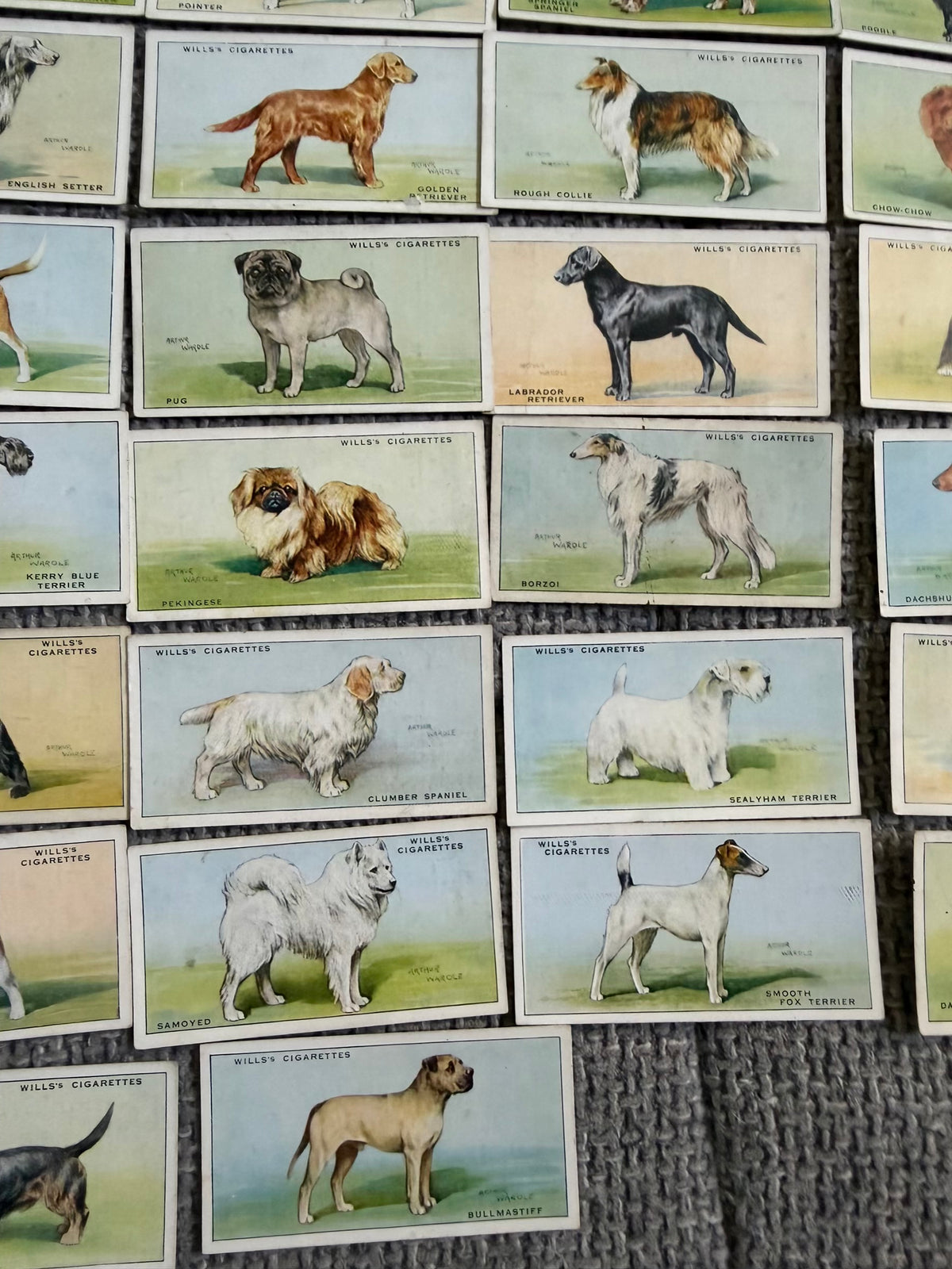 Wills’s — Dogs (1937) — Partial Set (41/50) Arthur Wardle illustrations.