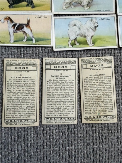 Wills’s — Dogs (1937) — Partial Set (41/50) Arthur Wardle illustrations.