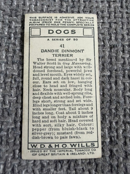 1934 Dandie Dinmont Terrier (Cigarette Card) Dogs Series (Wills)