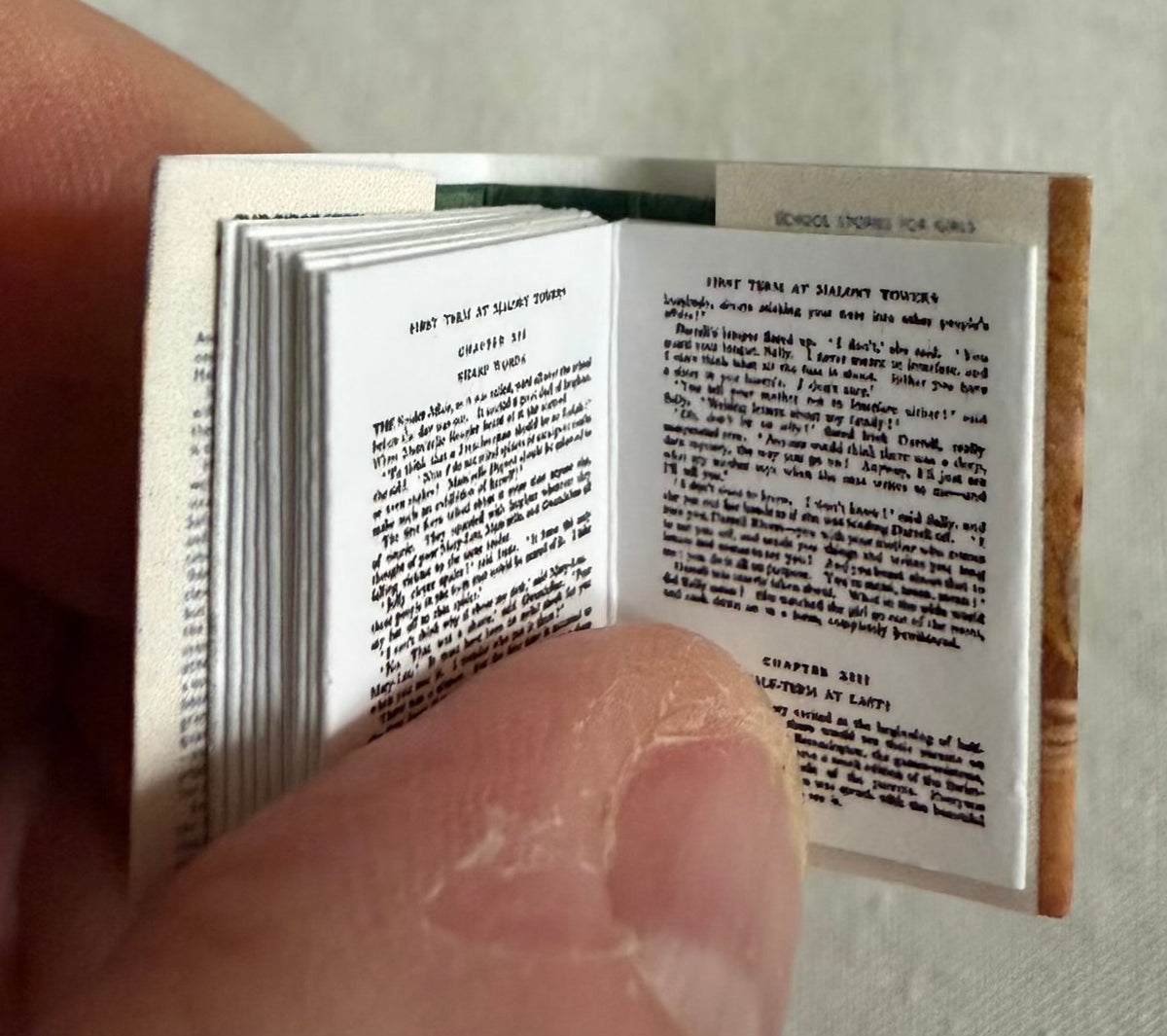 First Term At Malory Towers miniature 1:12 scale 2x3 removable dust jacket