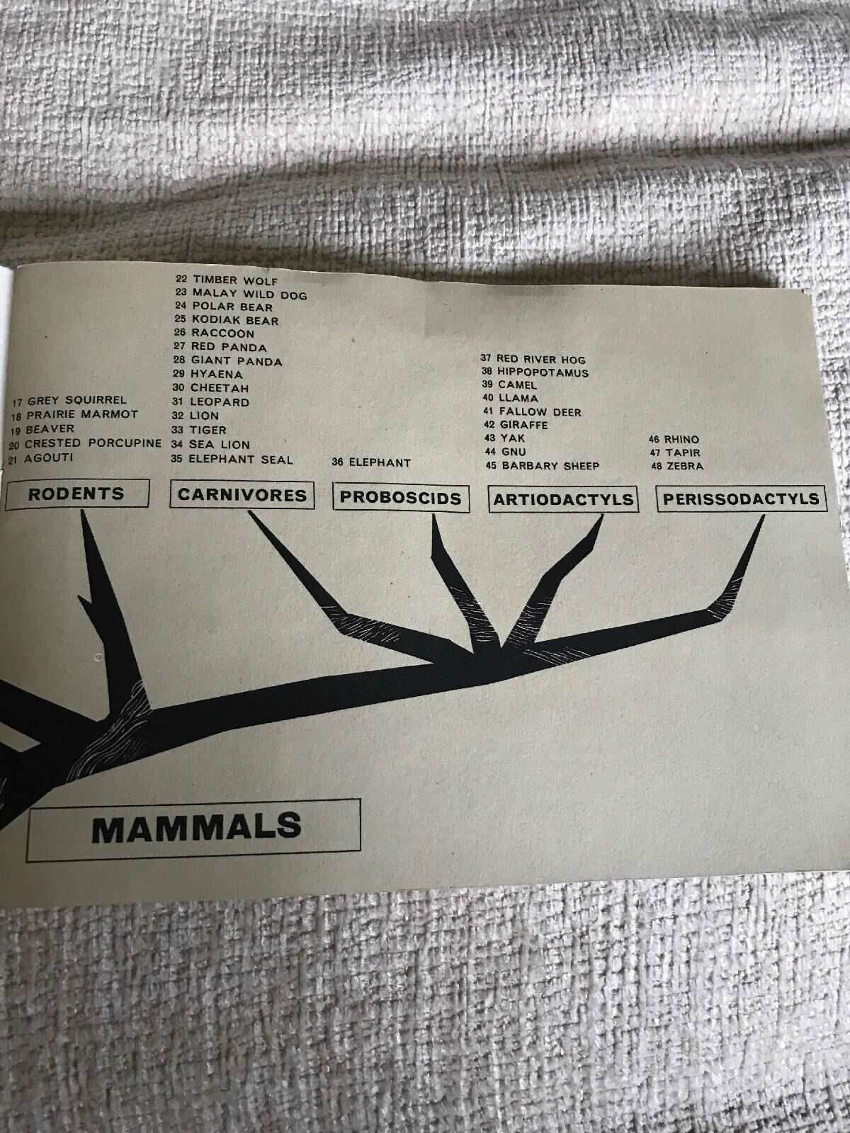 Hornimans Tea Cards 1960s - Rare On Safari by B.L. Driscoll Honeyburn Books (UK) Hornimans Tea Cards 1960s - Rare On Safari by B.L. Driscoll Honeyburn Books (UK)