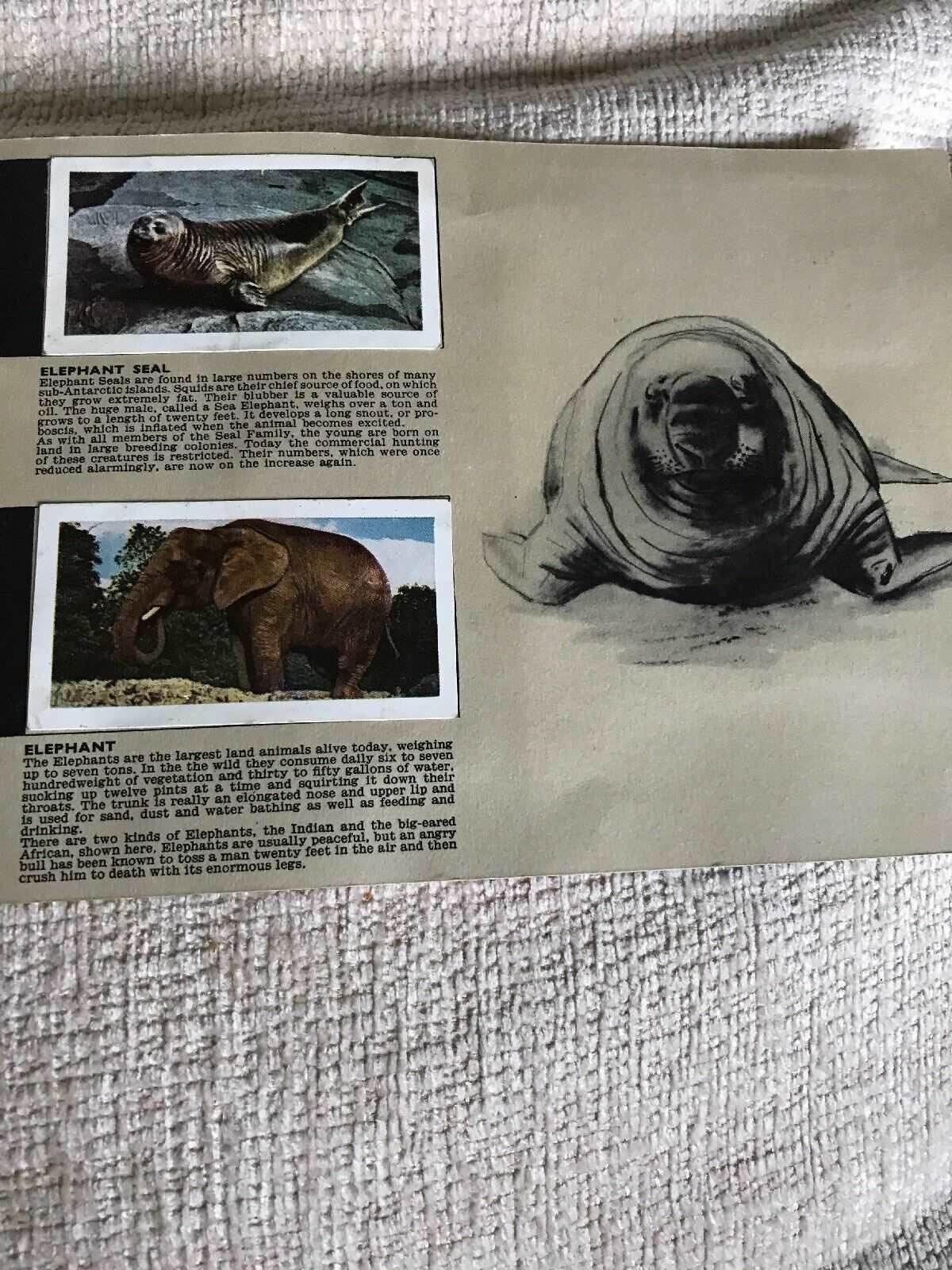 rare tea cards COMPLETE Brooke Bond Card Books. Various Titles. All in Good Vintage Condition. Published in the 1960s. Very Collectable! You're My Best-Tea Card