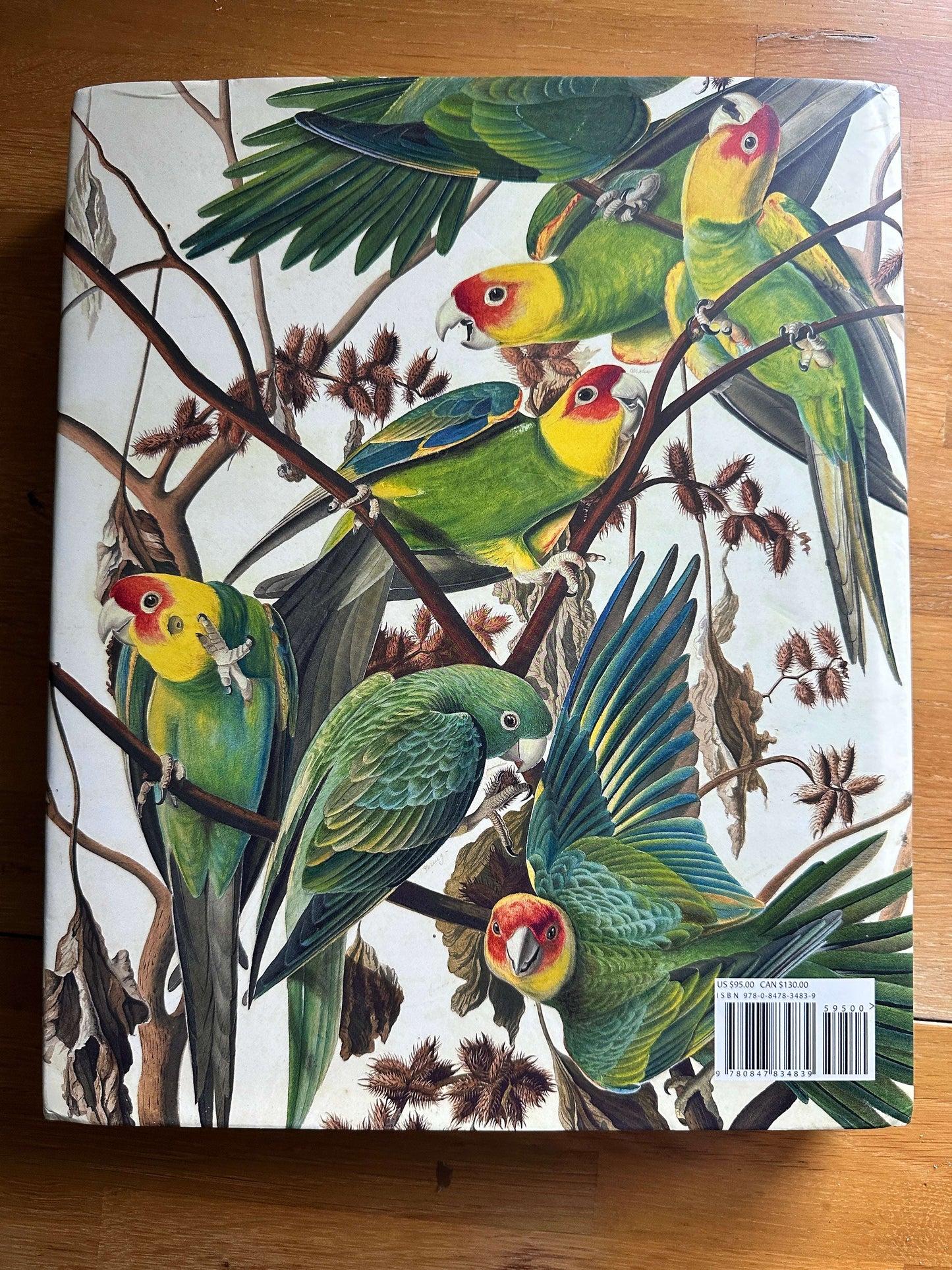 Audubon's Aviary book — Honeyburn Books — year not specified — hardcover