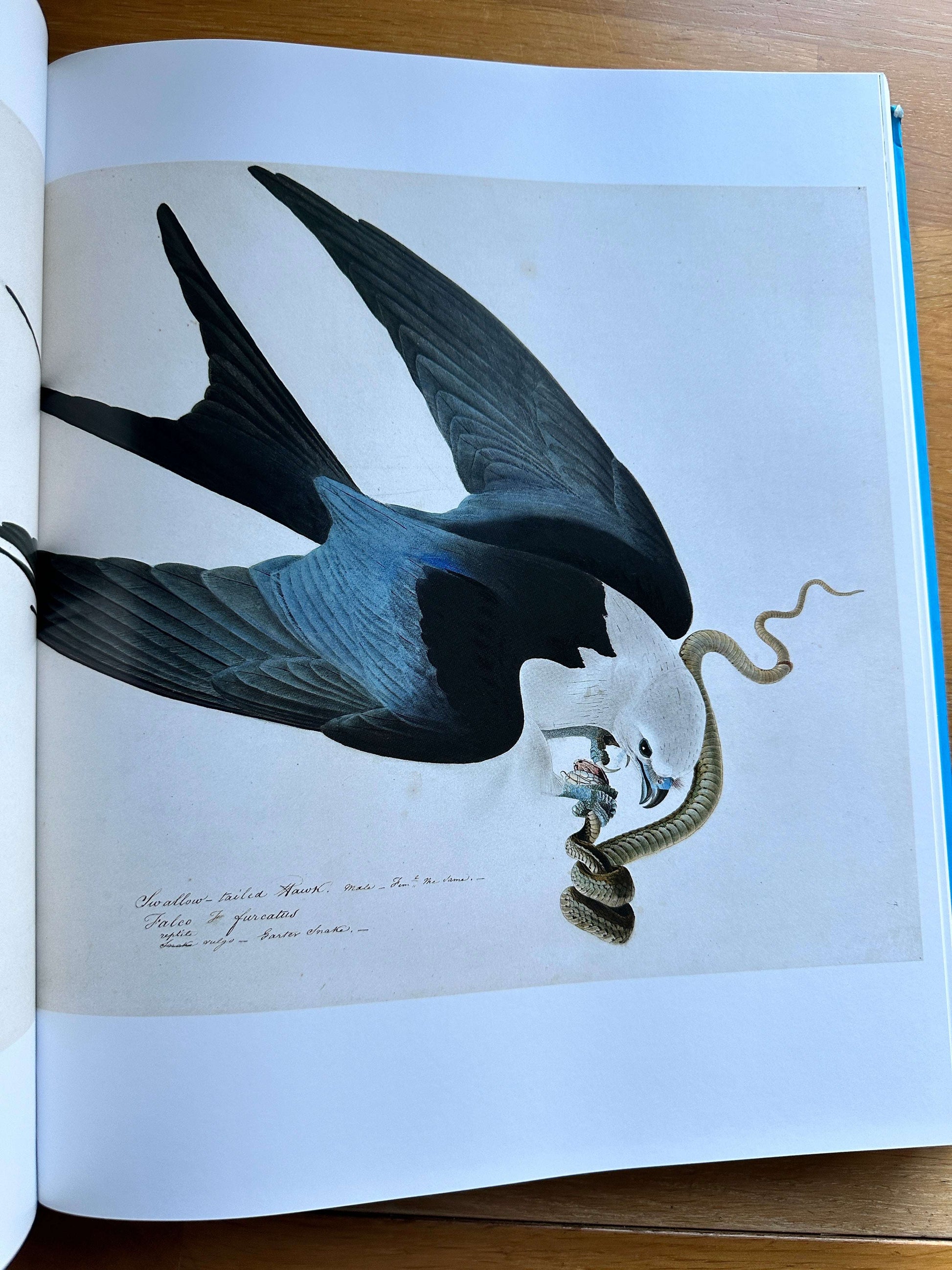 Audubon's Aviary book — John James Audubon — 2023 — New Edition