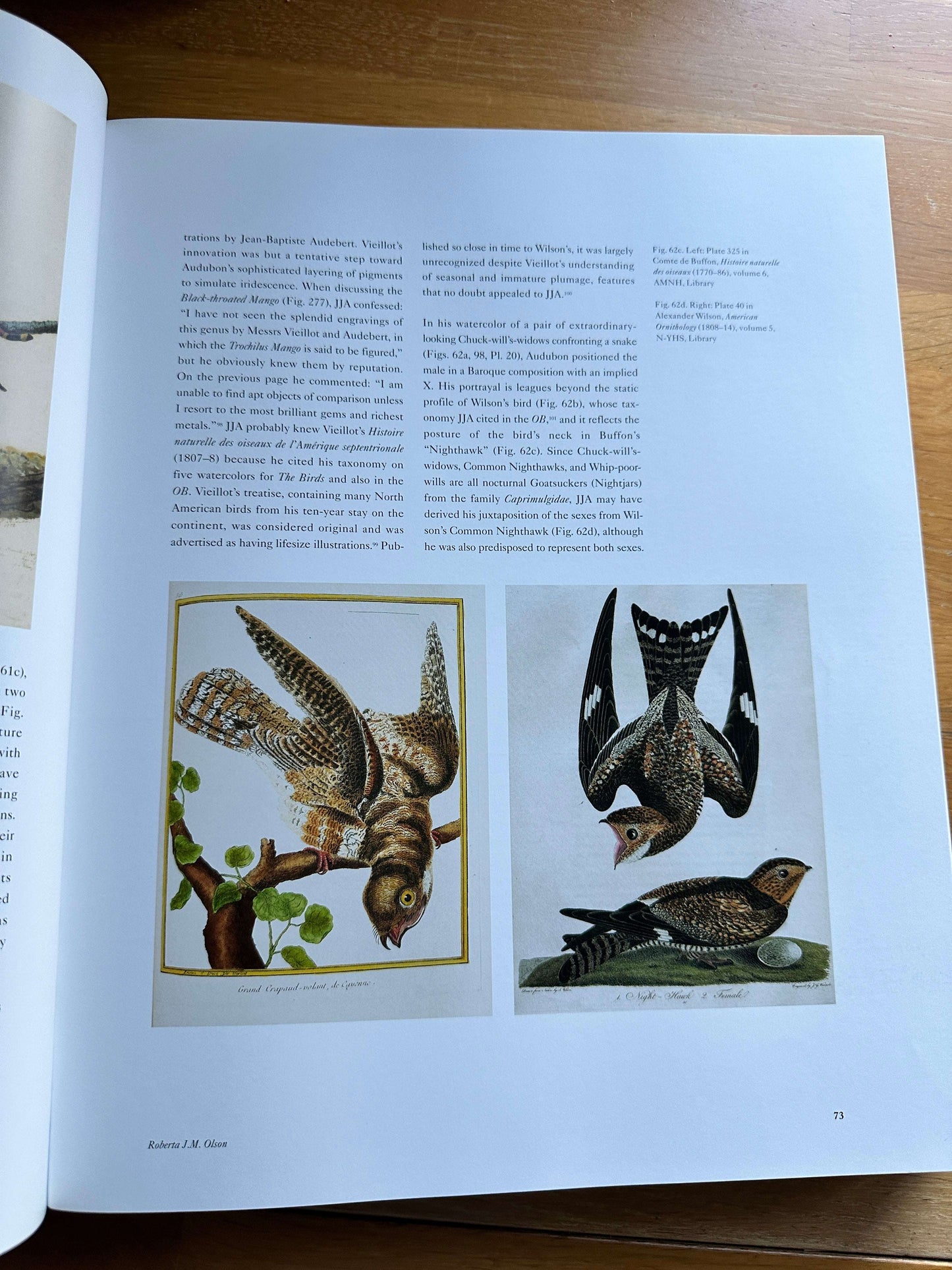 Audubon's Aviary book — Honeyburn Books — 2023 — Hardcover