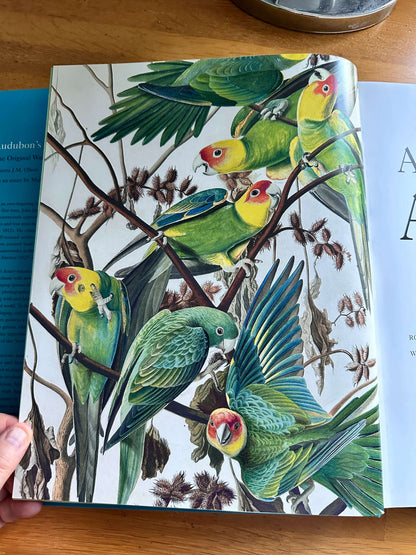 Audubon's Aviary book — Honeyburn Books — 2023 — hardcover with colorful parrot illustrations