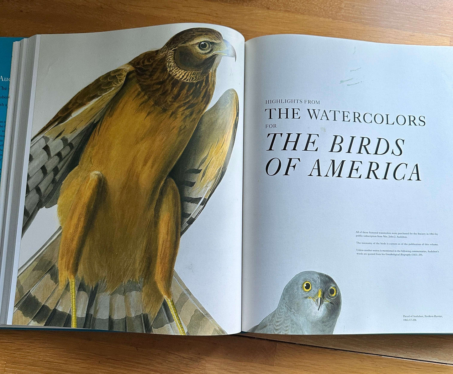 Audubon's Aviary book — Honeyburn Books — 2023 — hardcover