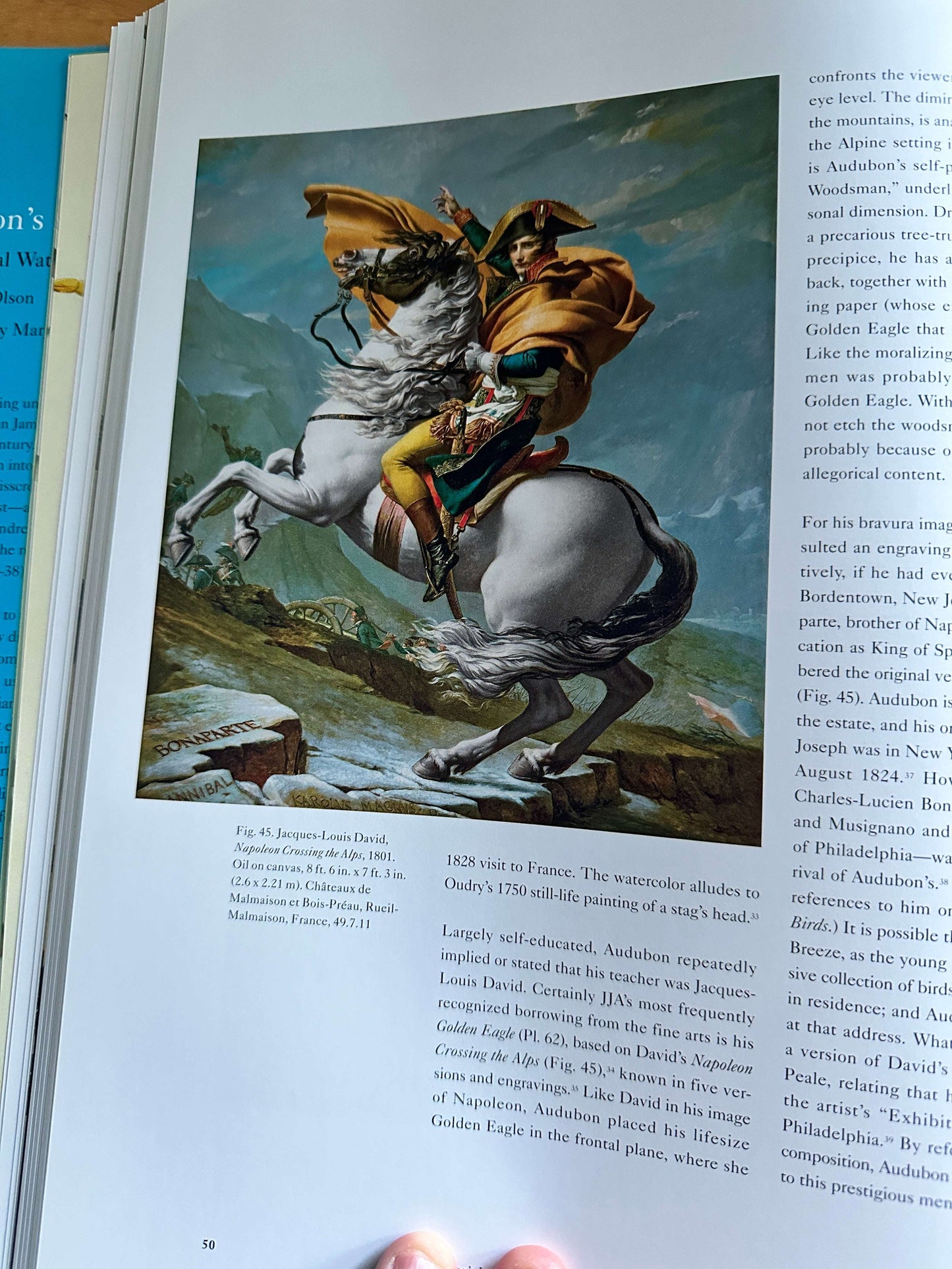 Audubon's Aviary book — Honeyburn Books — 2023 — New Edition