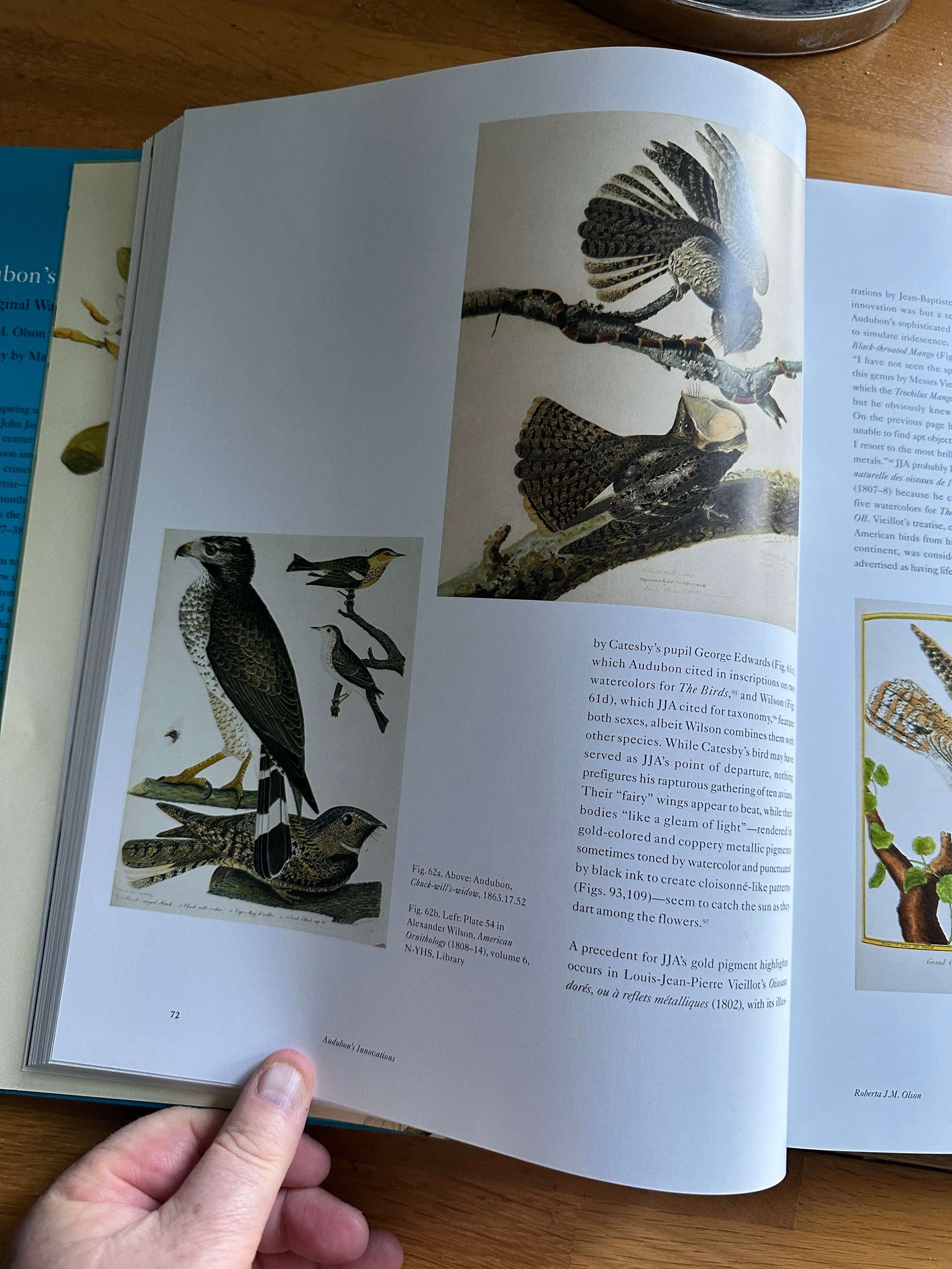 Audubon's Aviary book — Honeyburn Books — 2022 — hardcover