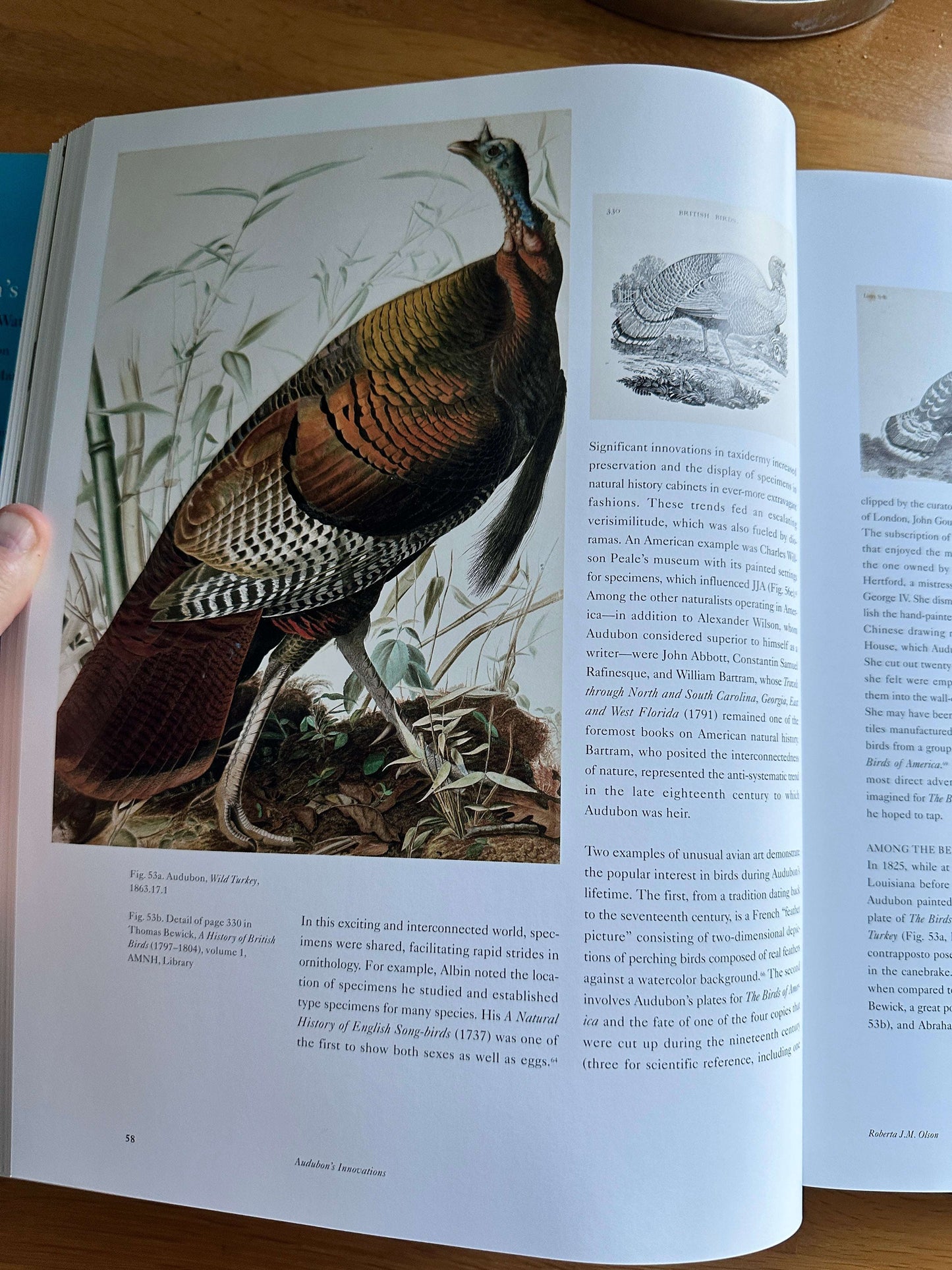 Audubon's Aviary book — Honeyburn Books — 2023 — hardcover edition