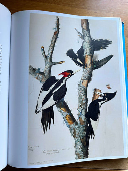 Audubon's Aviary book — Honeyburn Books — 2023 — Hardcover edition