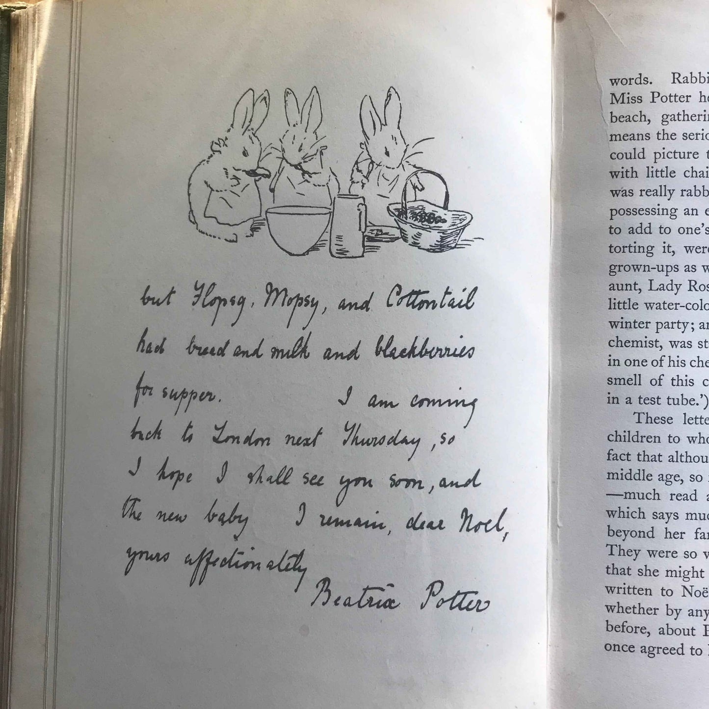 1947 Beatrix Potter Biography: The Tale Of Beatrix Potter by Margaret Lane (Frederick Warne & Co Ltd) - Honeyburn Books (UK)