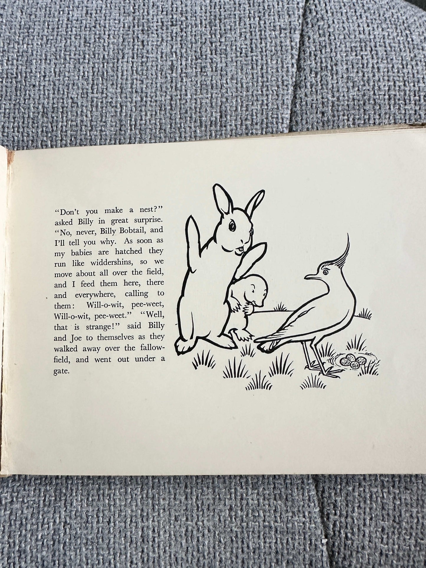 Illustration from Billy Bobtail first edition for sale featuring a rabbit and bird in a field