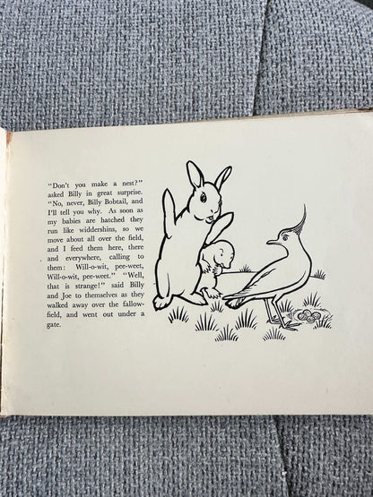 Illustration from Billy Bobtail first edition for sale featuring a rabbit and bird in a field