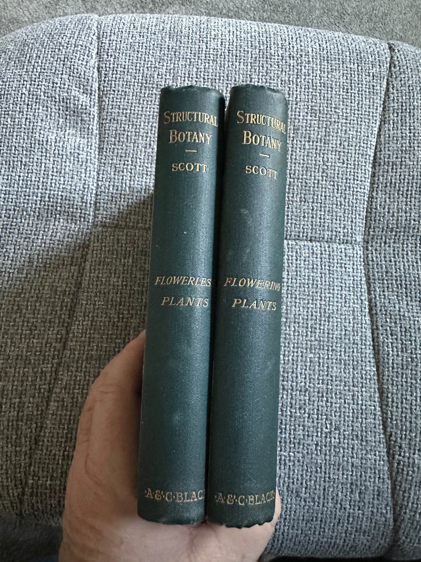 1909 and 1912 structural botany collectible books by Scott on flowering and flowerless plants