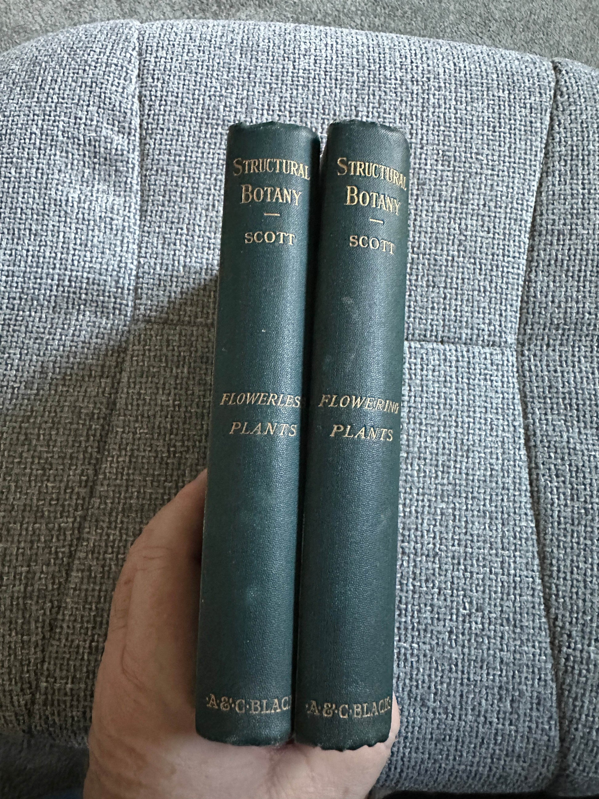 1909 and 1912 structural botany collectible books by Scott on flowering and flowerless plants