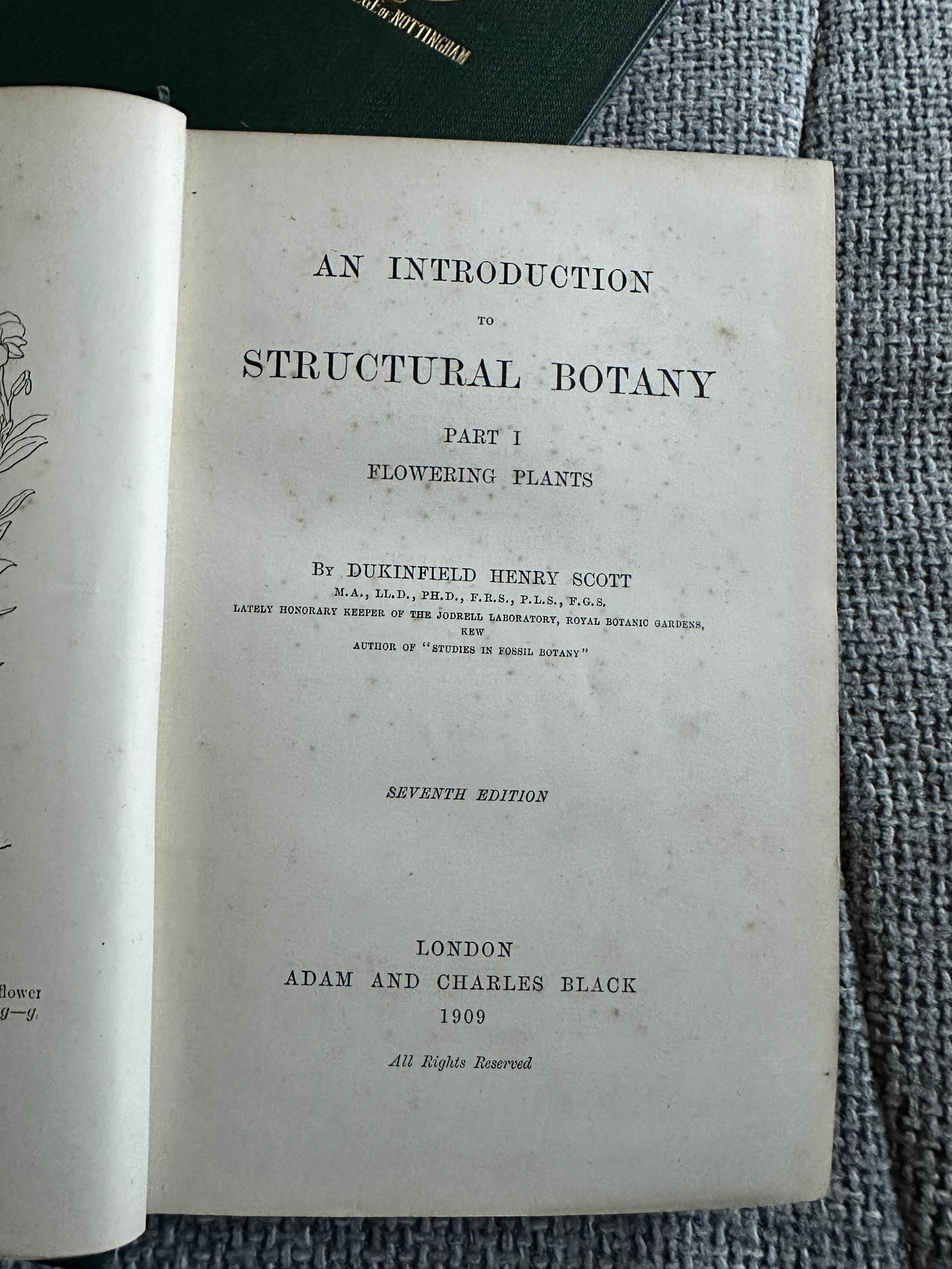 1909 and 1912 structural botany collectible book page showcasing introduction to flowering plants