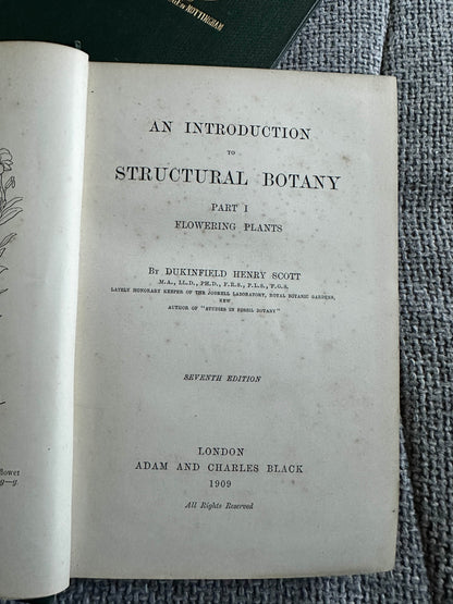 1909 and 1912 structural botany collectible book page showcasing introduction to flowering plants