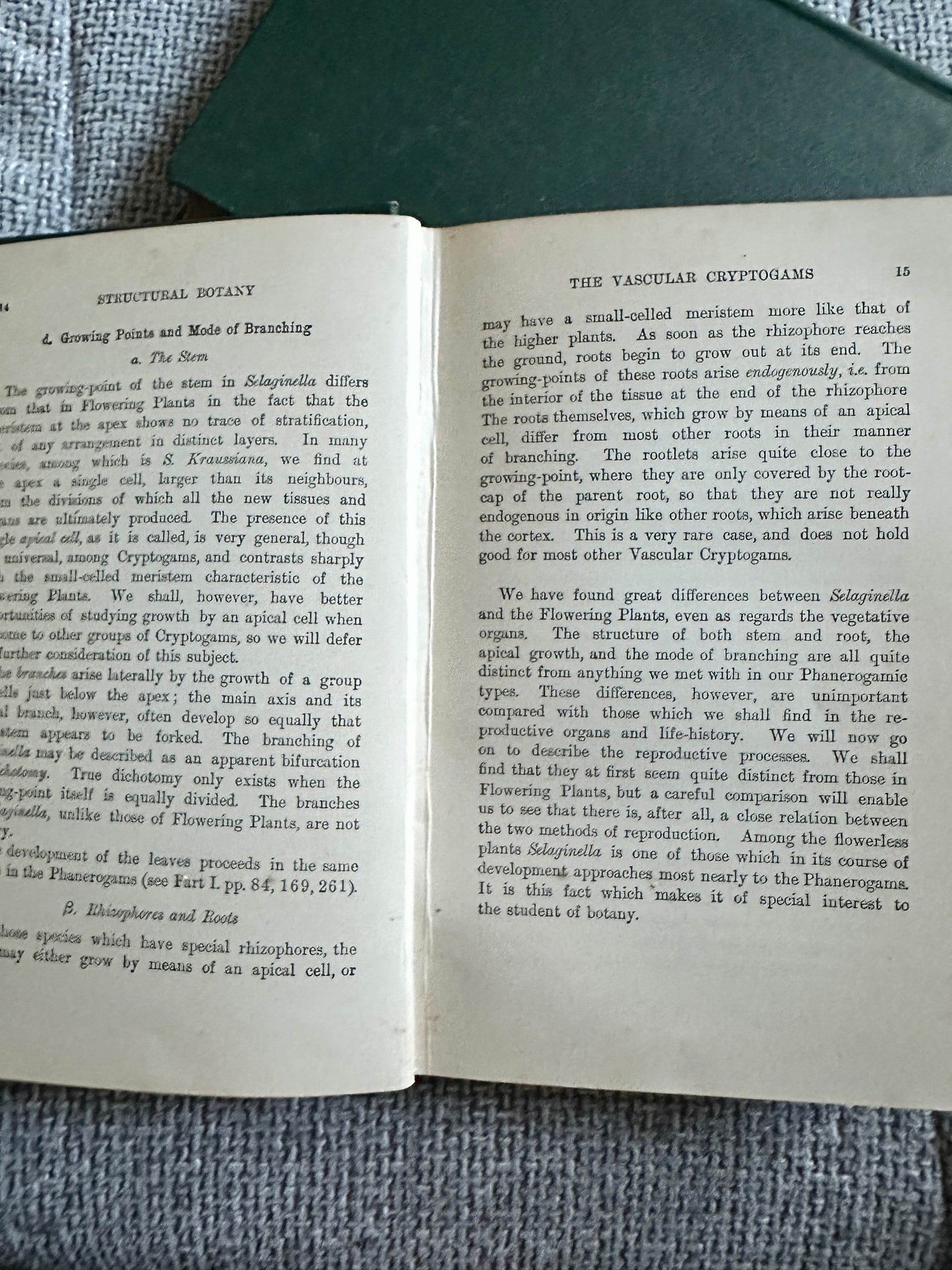 Open vintage book pages on structural botany from 1909 and 1912 structural botany collectible