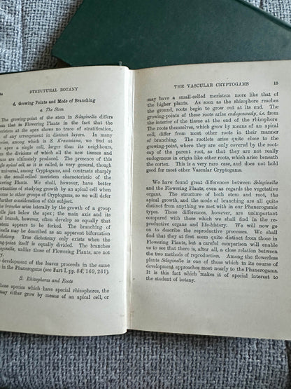 Open vintage book pages on structural botany from 1909 and 1912 structural botany collectible