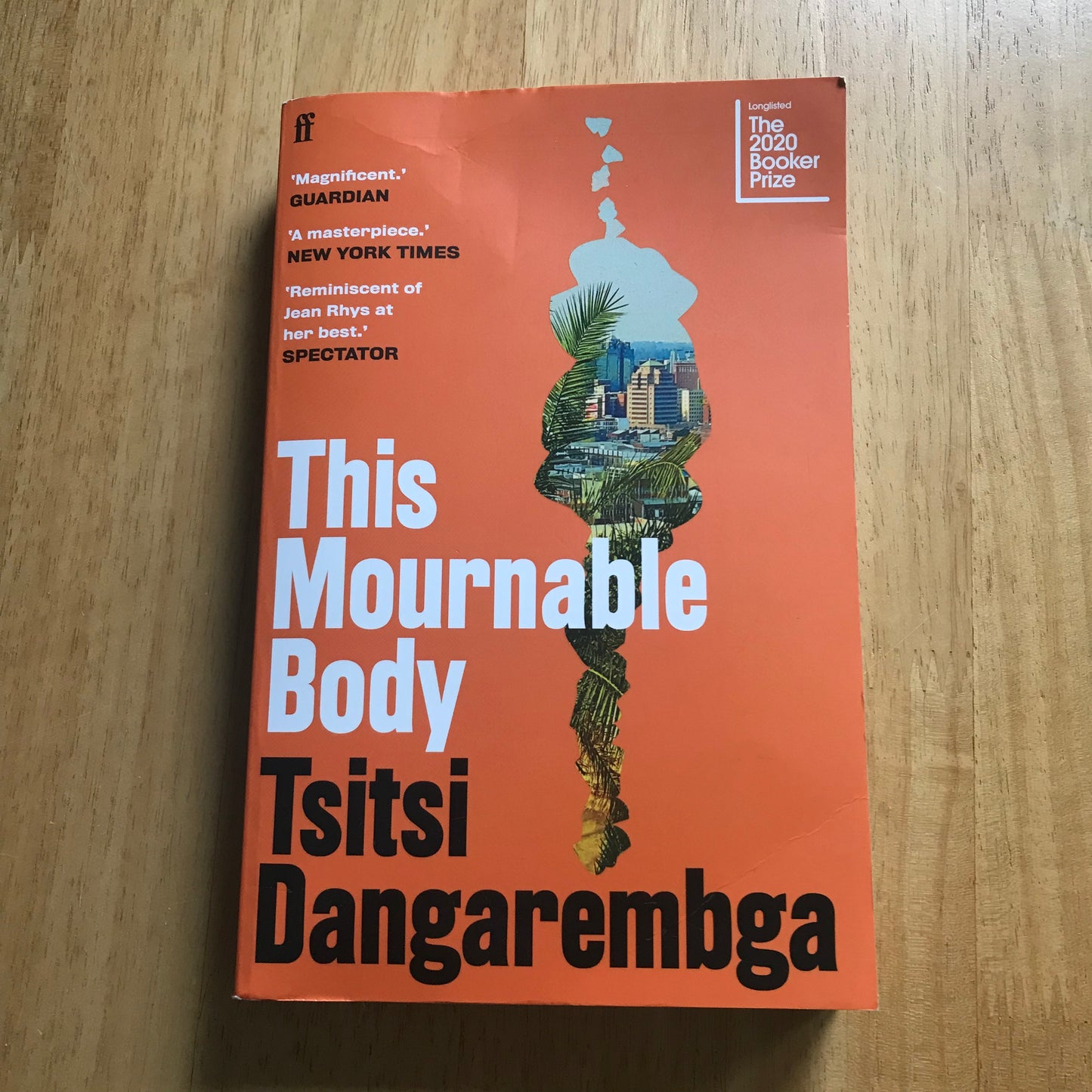 2020*1st* This Mournable Body - Tsitsi Dangarembga (Faber)