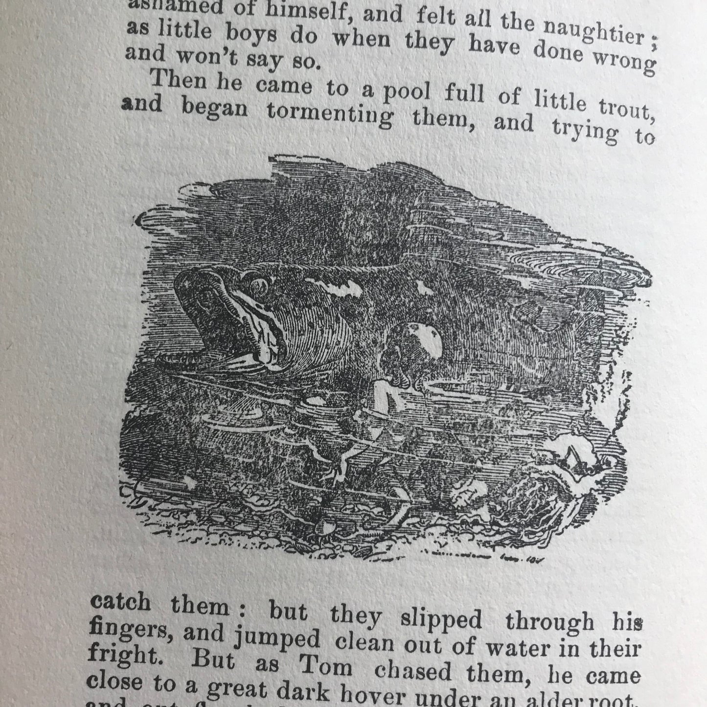 1864 The Water Babies – Charles Kingsley (Linley Sambourne Illustrator) Chatterton-Peck New York Verlag