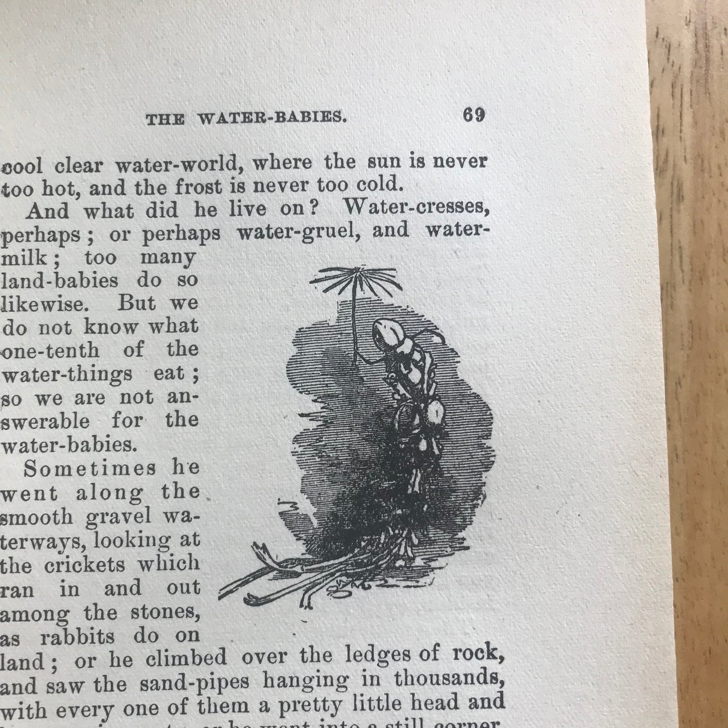 1864 The Water Babies - Charles Kingsley(Linley Sambourne illustrator) Chatterton-Peck New York Publisher