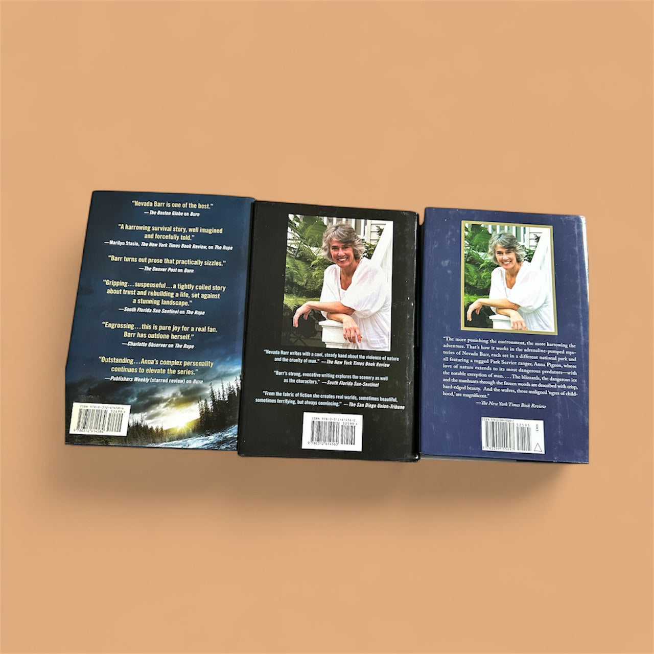 Burn Destroyer Angel Borderline first editions set featuring three book covers with author and spine details