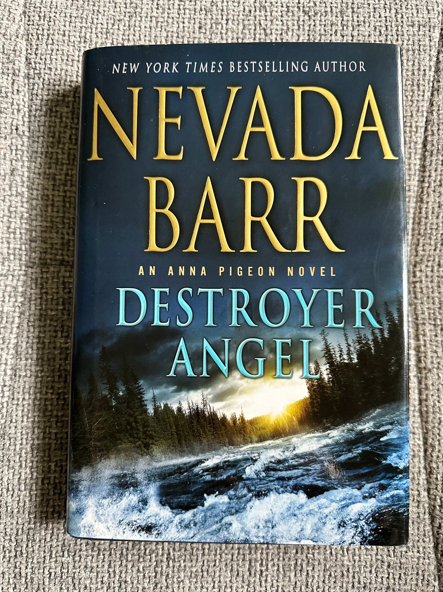 Destroyer Angel Nevada Barr first edition hardcover with scenic cover featuring a river and sunset