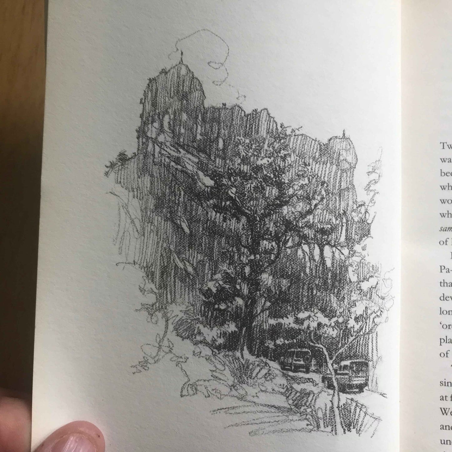 Pen and ink interior sketch of a tree lined road with parked cars inside Letters from Burma Aung San Suu Kyi book