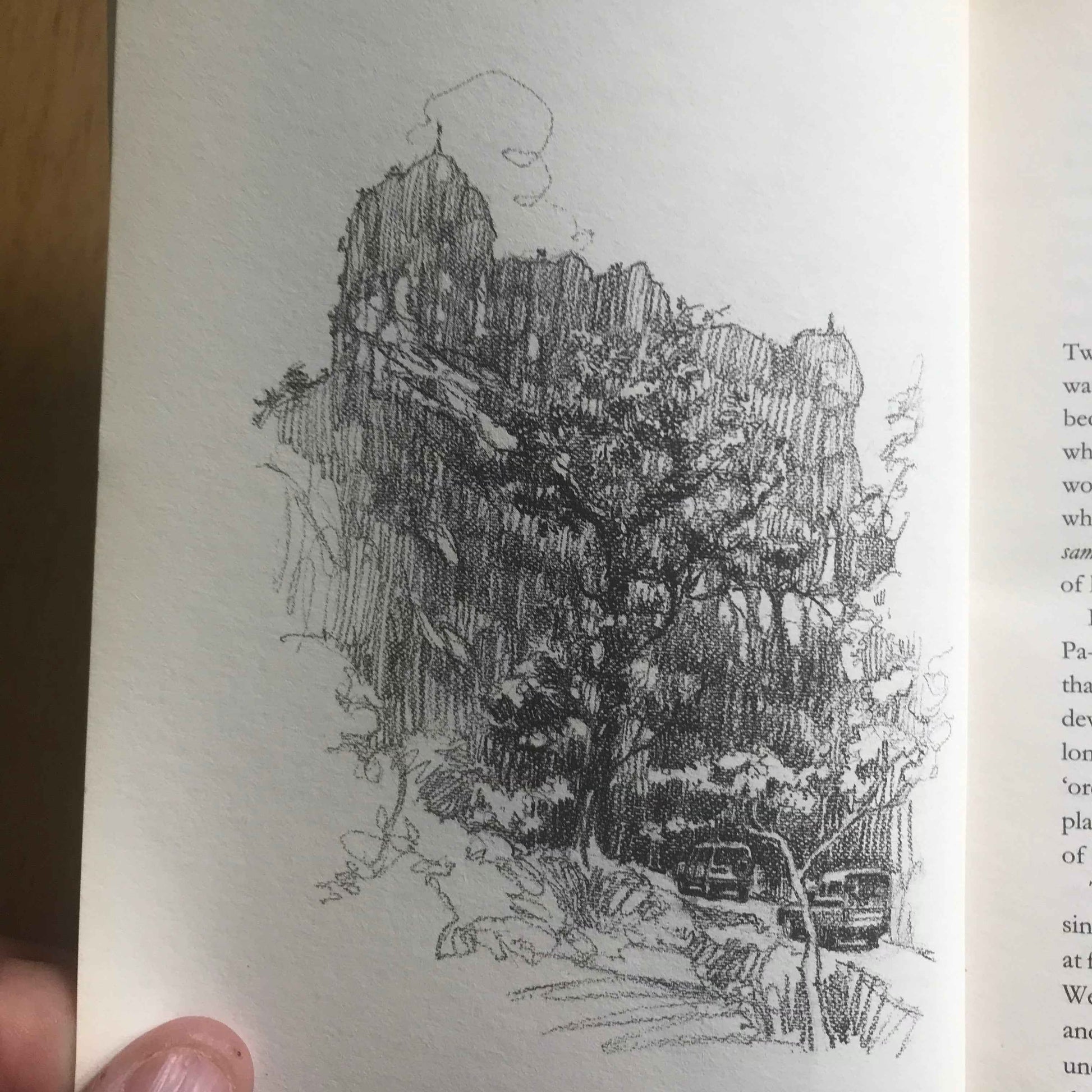 Pen and ink interior sketch of a tree lined road with parked cars inside Letters from Burma Aung San Suu Kyi book