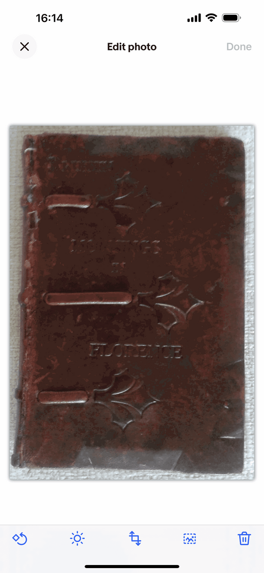 *rare* 1907 Mornings In Florence - John Ruskin handtooled leather New York pub - Honeyburn Books (UK)