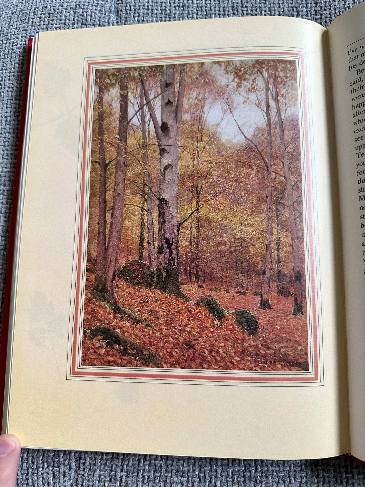 Cover image of Still Glides The Stream Flora Thompson featuring an autumn forest landscape