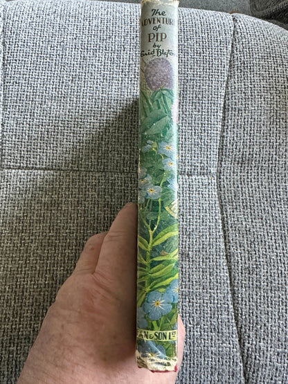 The Adventures of Pip Enid Blyton vintage book showing colorful spine design and classic illustration