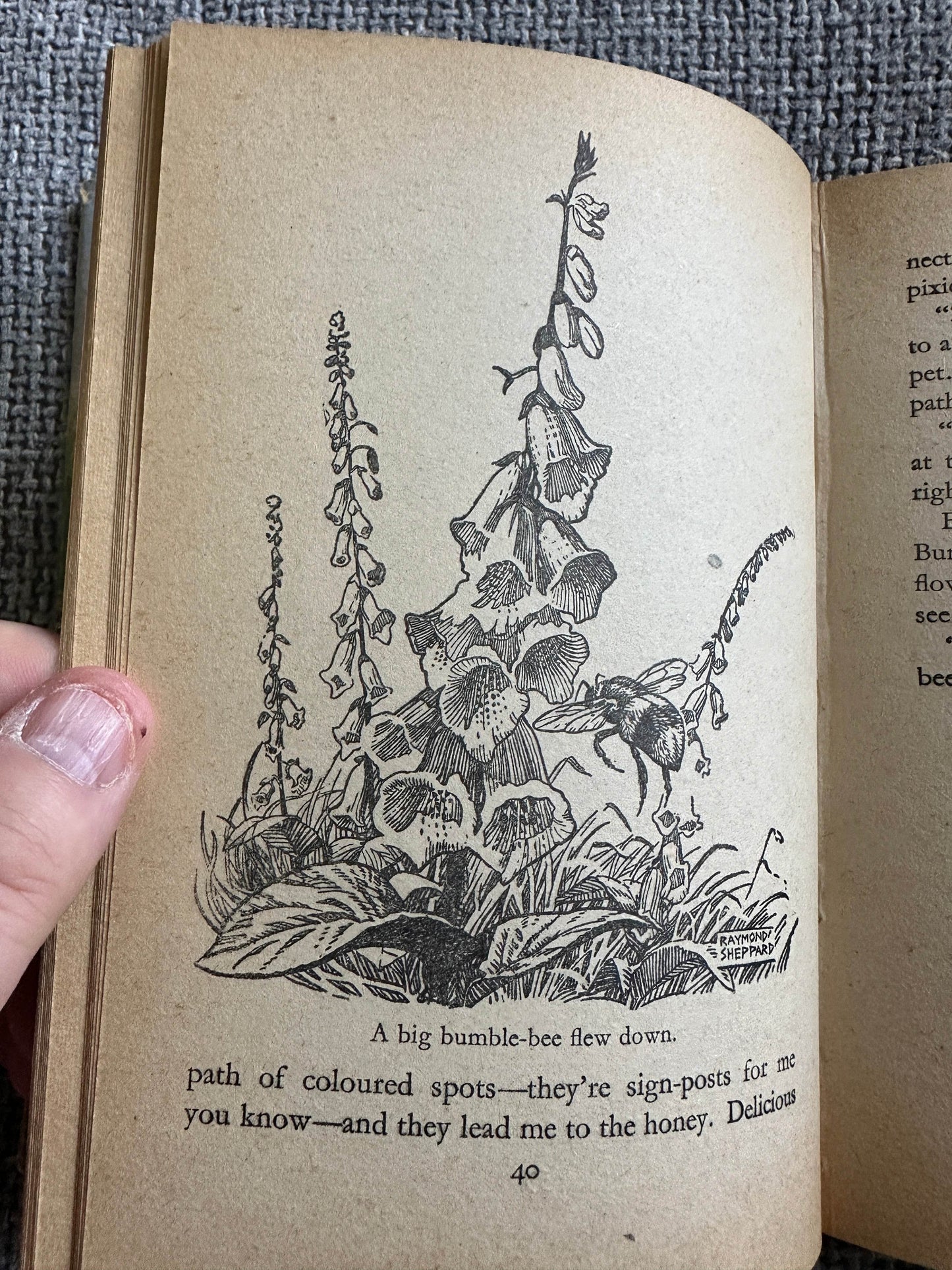 Illustration of flowers and a bumblebee from The Adventures of Pip Enid Blyton vintage book