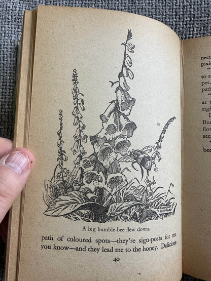 Illustration of flowers and a bumblebee from The Adventures of Pip Enid Blyton vintage book