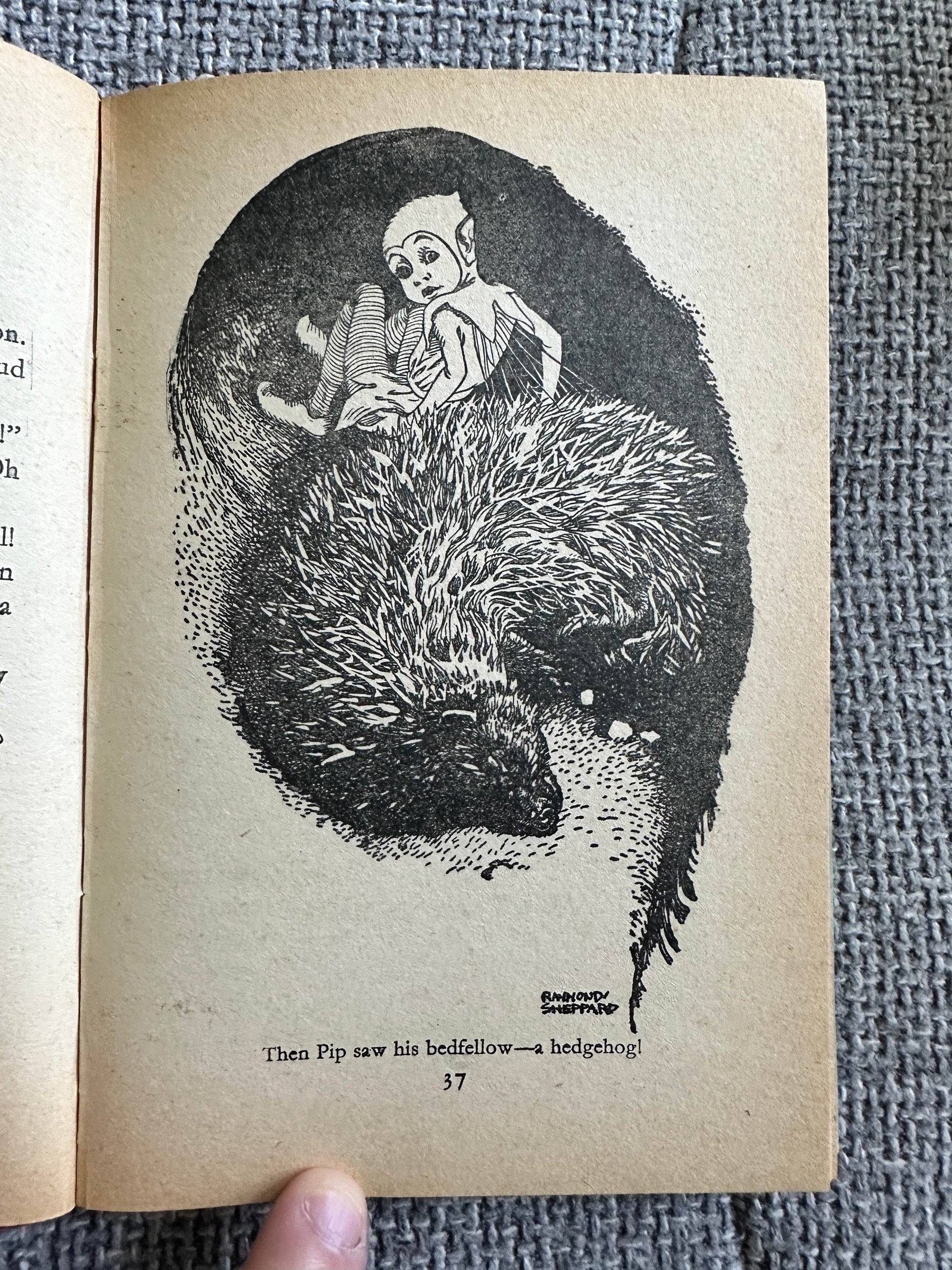 The Adventures of Pip Enid Blyton vintage book illustration featuring Pip and a hedgehog