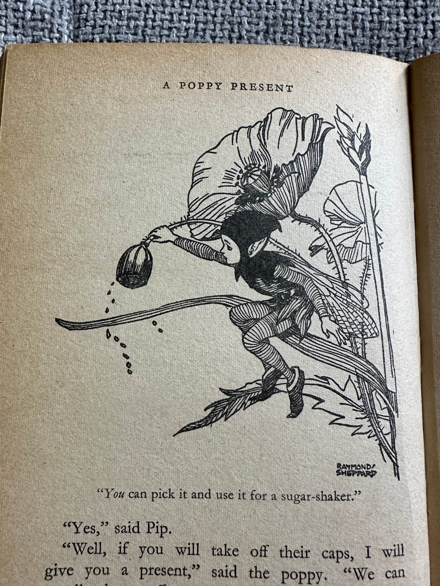 Illustration from The Adventures of Pip Enid Blyton vintage book showing Pip with a sugar-shaker