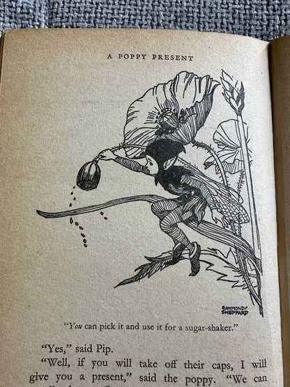 Illustration from The Adventures of Pip Enid Blyton vintage book showing Pip with a sugar-shaker
